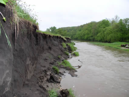 Bank erosion along the Upper Iowa River