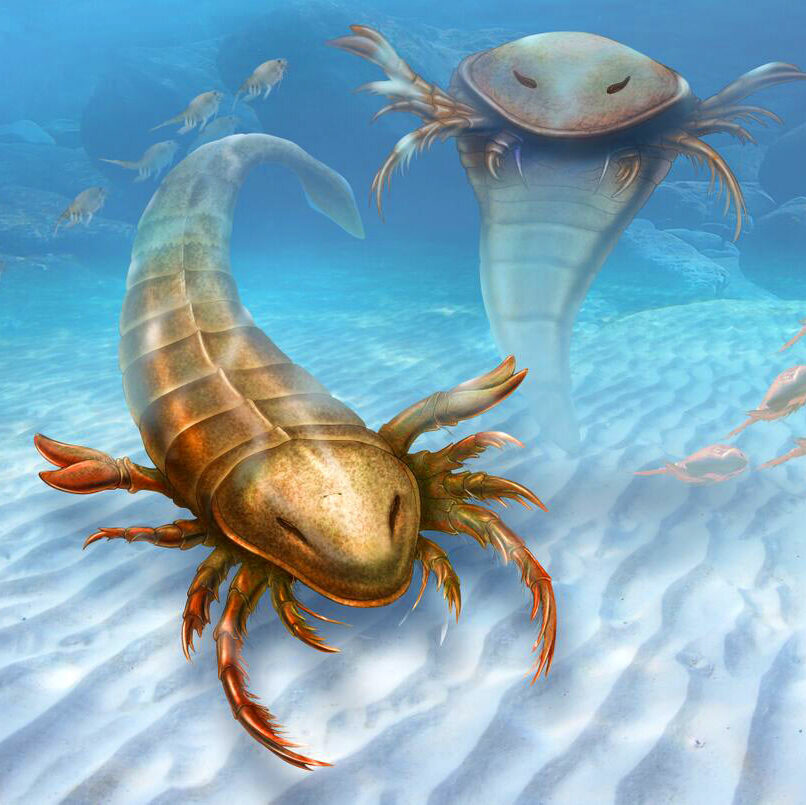 Underwater Image of Ancient Sea Scorpion